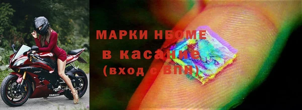 стаф Киренск