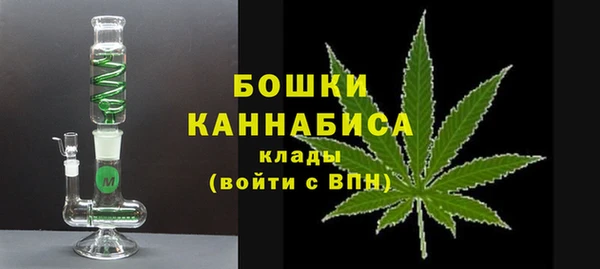 дживик Каменногорск