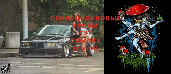 стаф Киренск